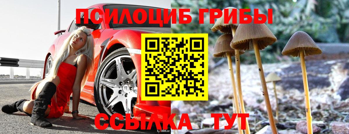Псилоцибиновые грибы Psilocybe Лосино-Петровский