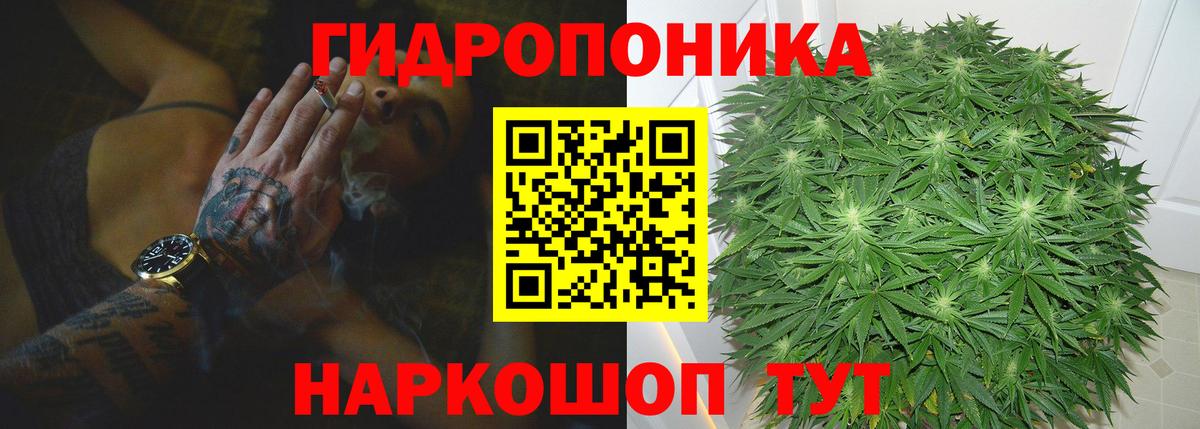Каннабис OG Kush Лосино-Петровский
